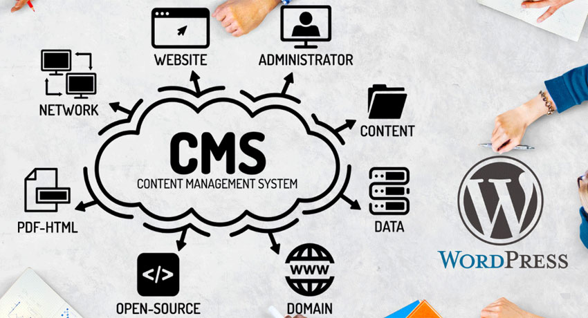 CMS Development