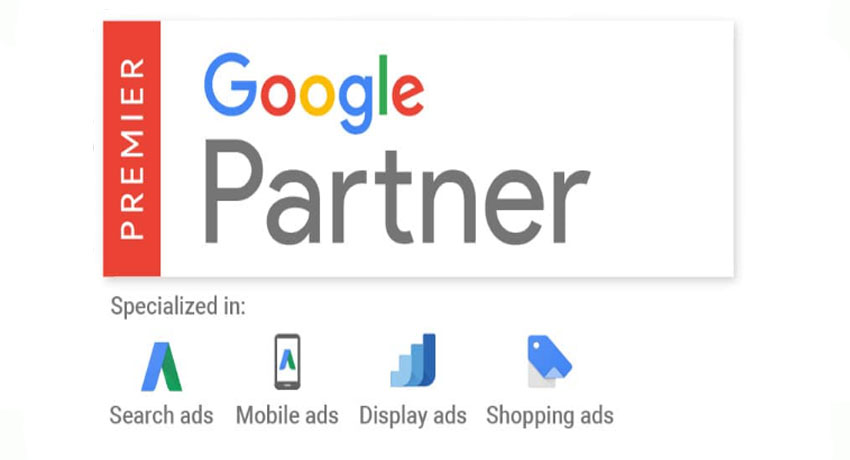 Google SME Partner